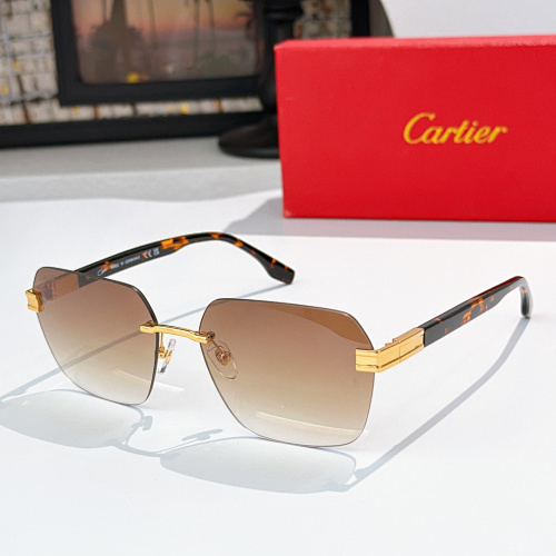 Cartier 0009