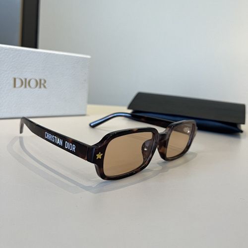 DIOR 0022