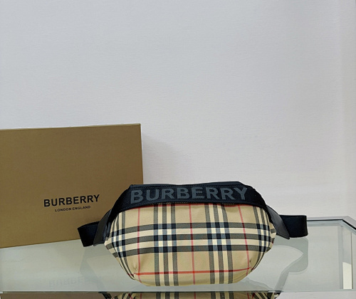 BURBERRY  0254