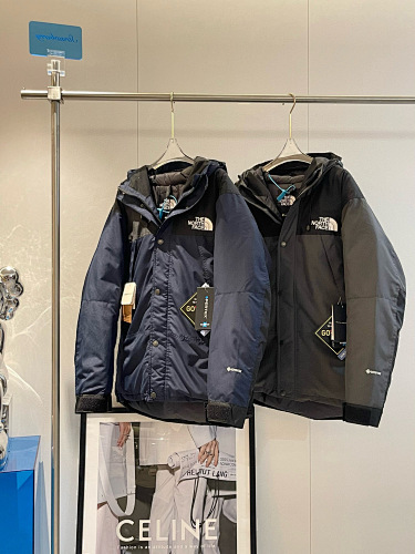 the north face 022