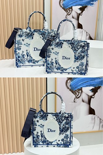 DIOR 0107