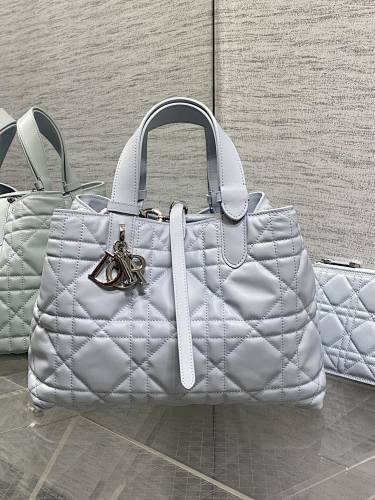 DIOR 0023