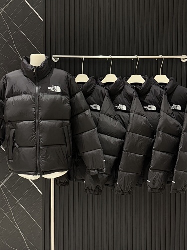 the north face 010