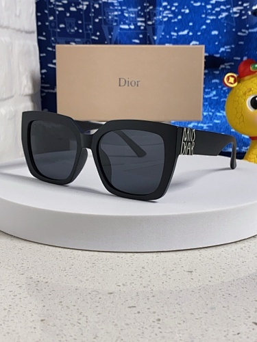 DIOR 0010