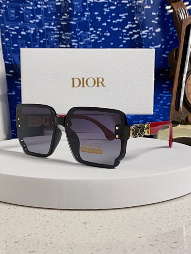 DIOR 0019