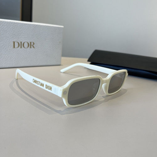 DIOR 0023