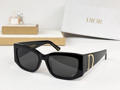 DIOR0007