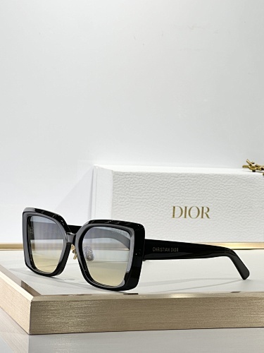 DIOR0060