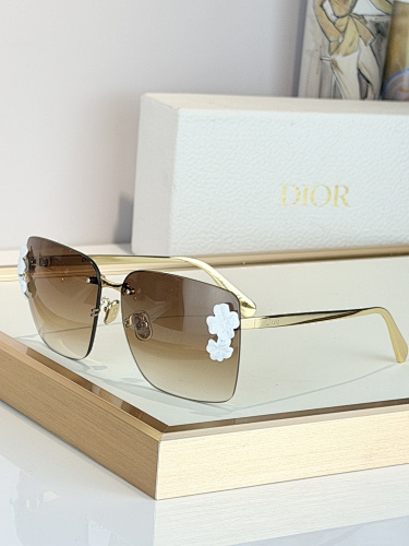 DIOR0012