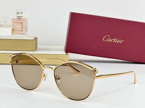 Cartier 0091