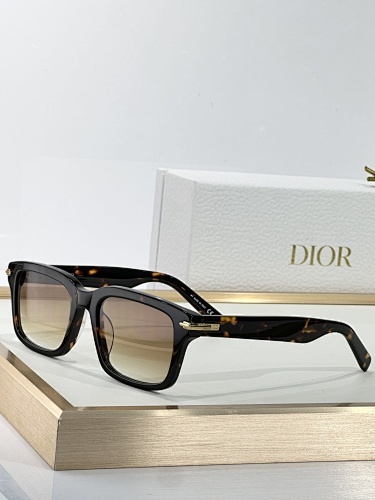 DIOR0041
