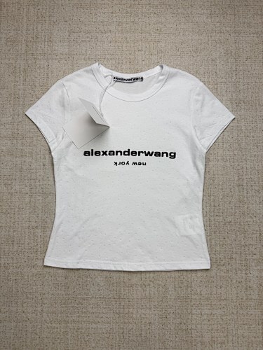 Alexander wang0044