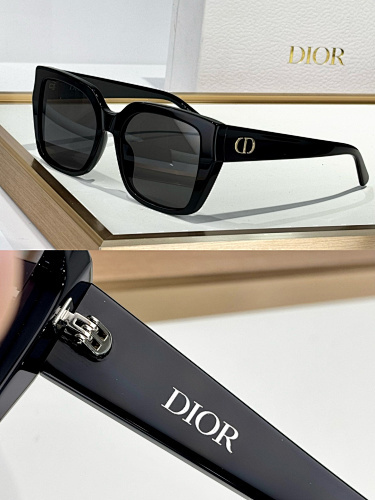 DIOR0066