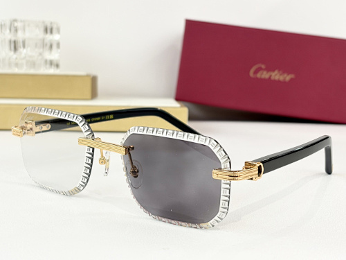 Cartier 0072