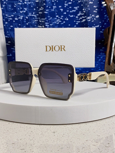 DIOR 0017